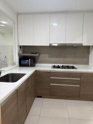 The Rainforest (D23), Condominium #453706881